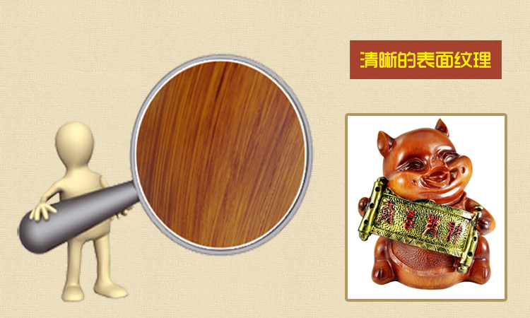 细节放大图